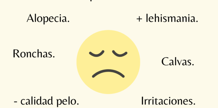 Los peligros de rapar a tu perr@ o gat@