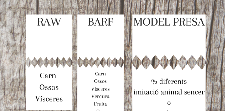 Tipos de dietas naturales